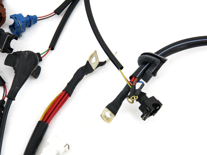 Engine Wiring Harness